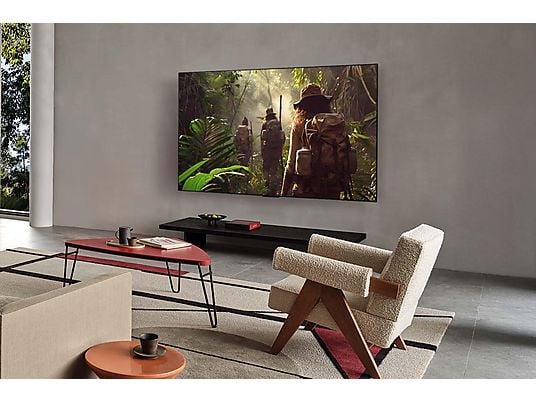 LG OLED Fernseher Rückseite und Design